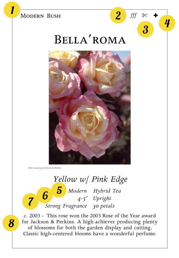How To Read Our Rose Signs - Orchard Nursery